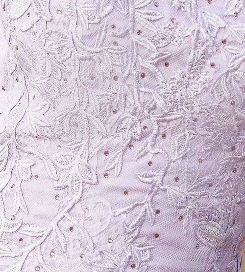 Dutchess by Velvi Short Embroidered Party Dress