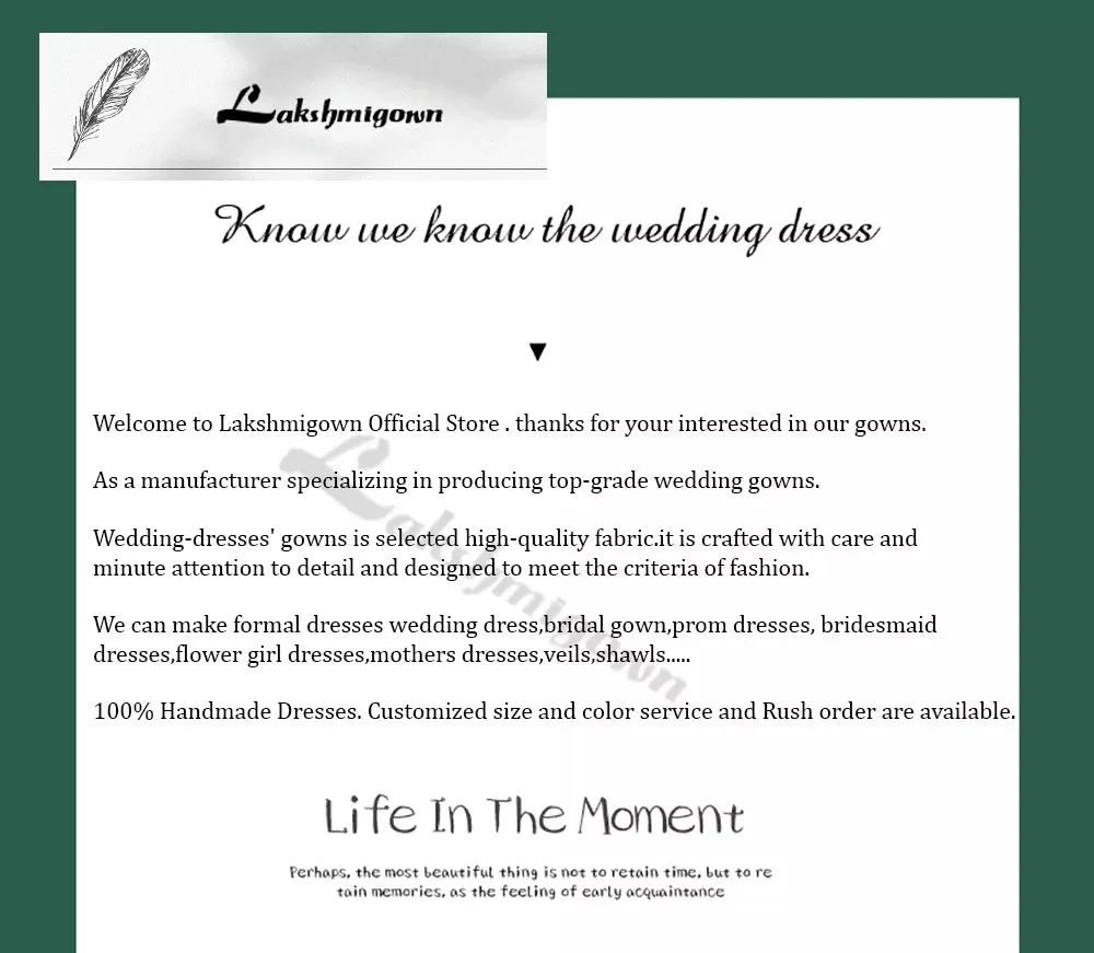 Lakshmigown V Neck Lace Appliques A Line Chiffon Open Back Boho Wedding Dress 2024 Sleeveless Cut-out trajes de novias largos