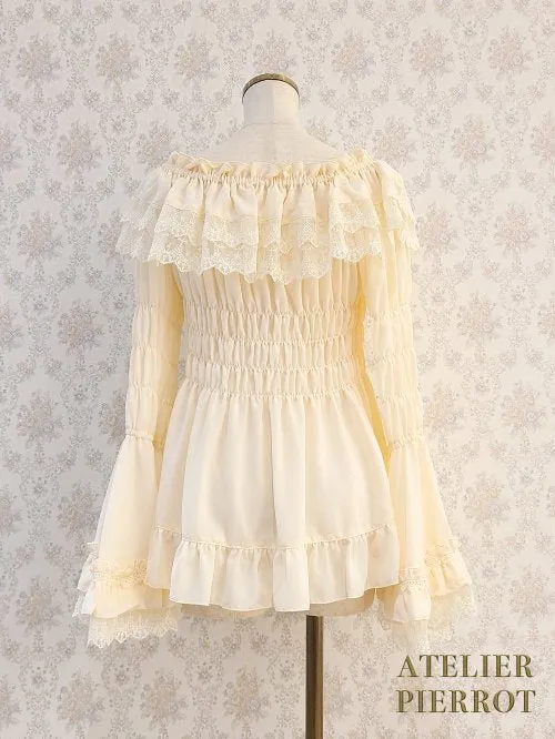 Shirring Princess Sleeve Blouse